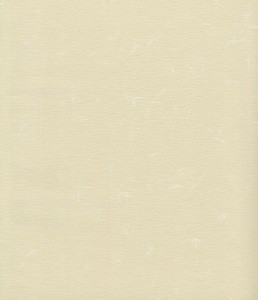 Myojo601