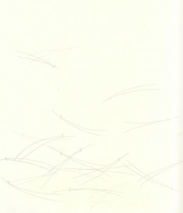 Myojo604