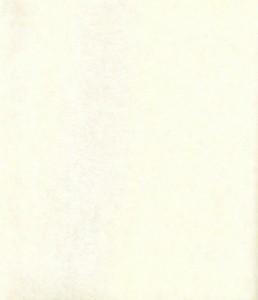 Myojo609